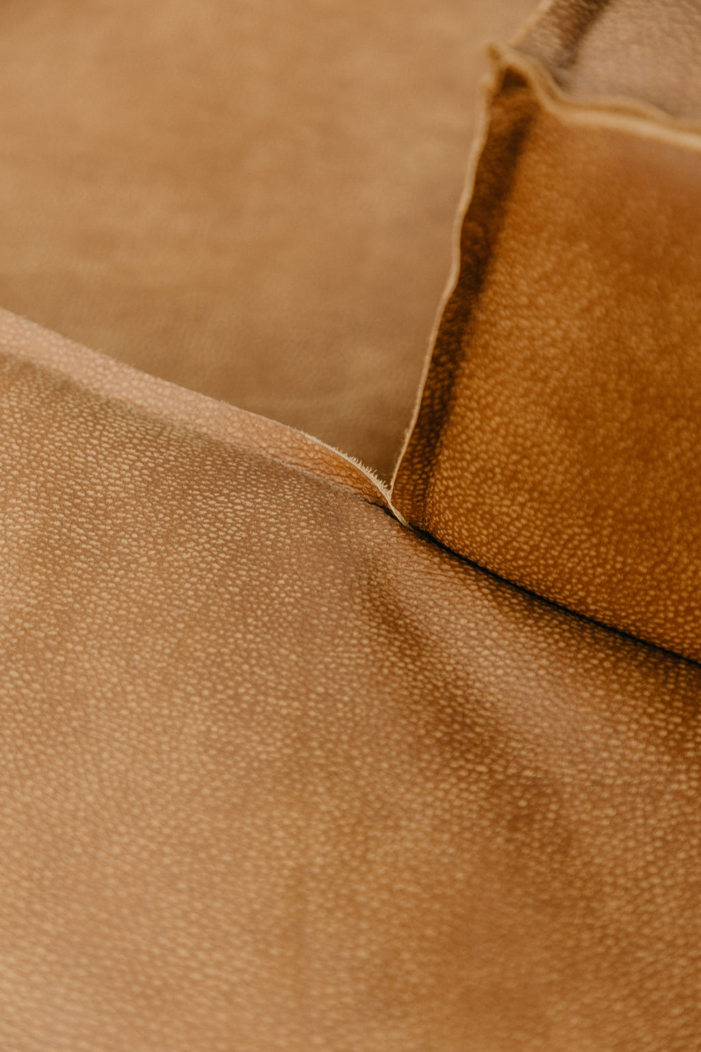 Alden Leather Couch