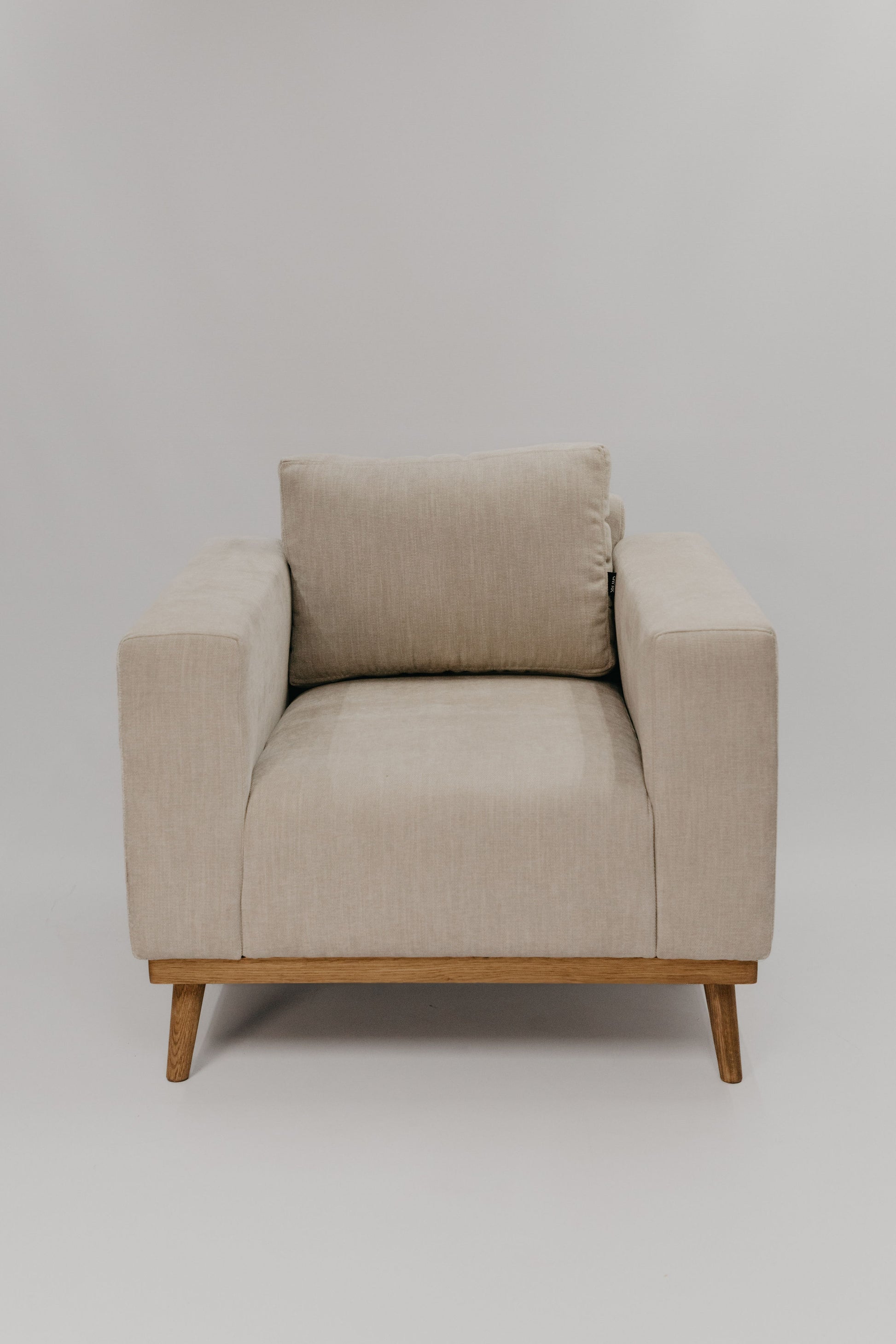 Caela Occasional Chair